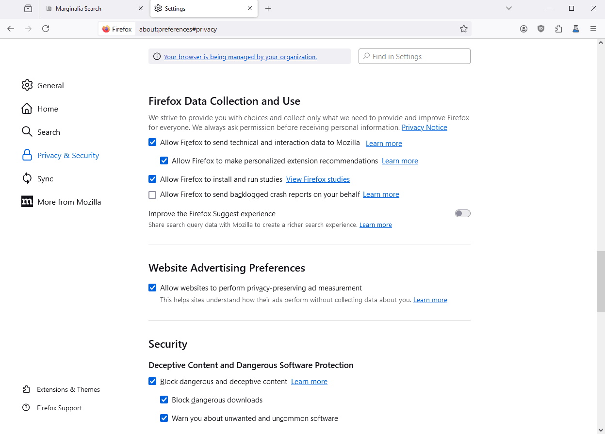 Disabling all of the spyware in firefox.